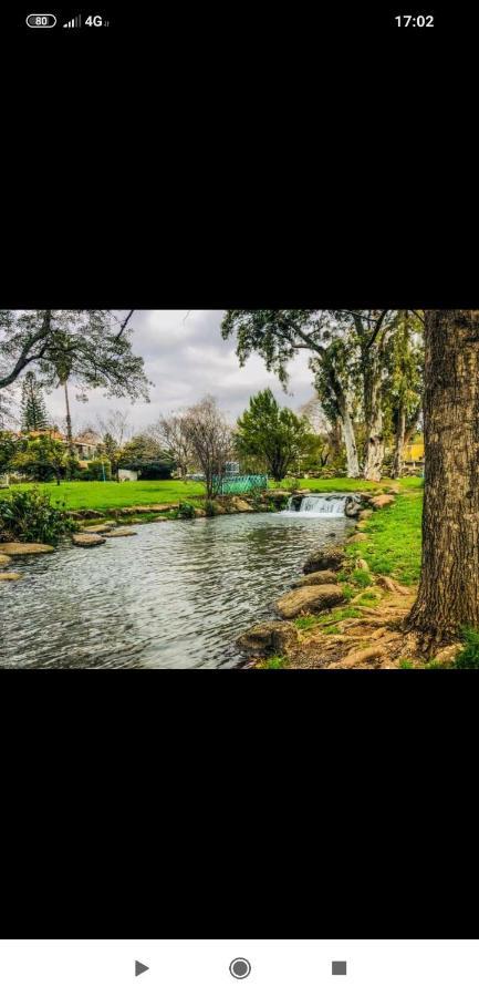 Villa By The River Facing The Hermon In Dafna Exterior foto